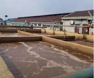 出水氨氮大于進(jìn)水氨氮，怎么回事？