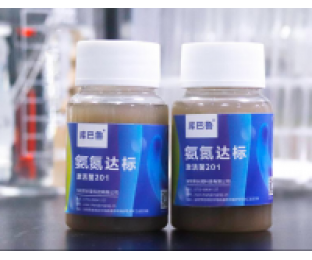 生化系統(tǒng)崩潰，氨氮超標(biāo)，我該怎么辦?