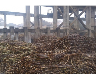 廣西來賓某堿氯法甘蔗渣制漿廠除COD、脫色案例分享