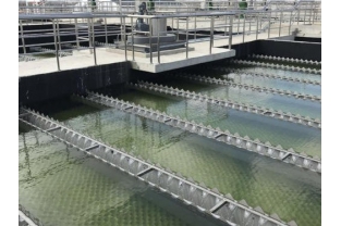 【干貨】有機物導致的氨氮超標?這種情況該如何處理呢？